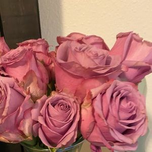 Meet your Posher, Kristy